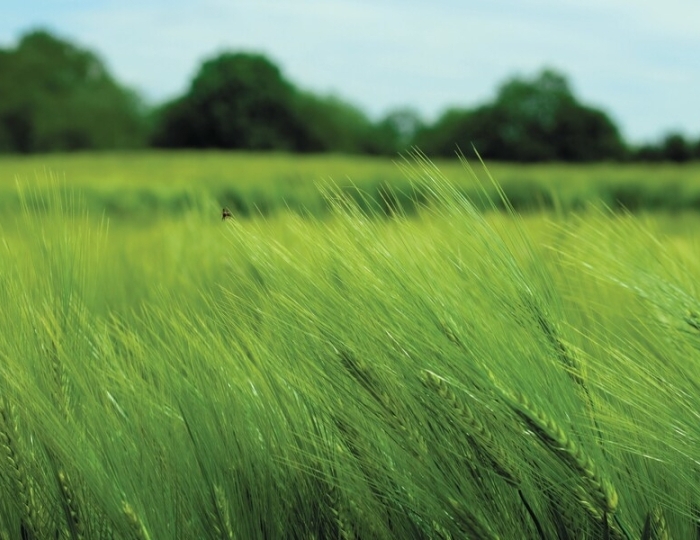 Санаторная программа лечения - Санаторий «Плаза» Железноводск