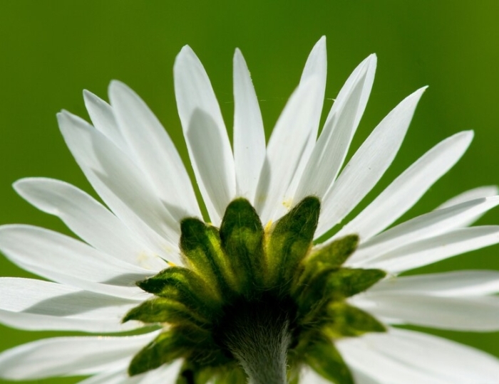 Оздоровительная программа - Санаторий «Плаза» Железноводск