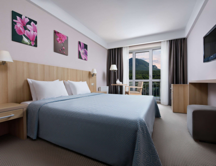 Стандарт (вид на Бештау) - Санаторий «Плаза» Железноводск