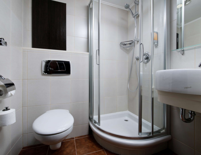 Стандарт (вид на Бештау) - Санаторий «Плаза» Железноводск