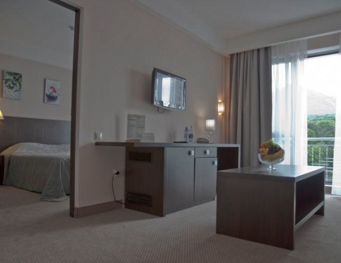 Люкс ПК 2-местный 2-комнатный - Санаторий «Плаза» Железноводск